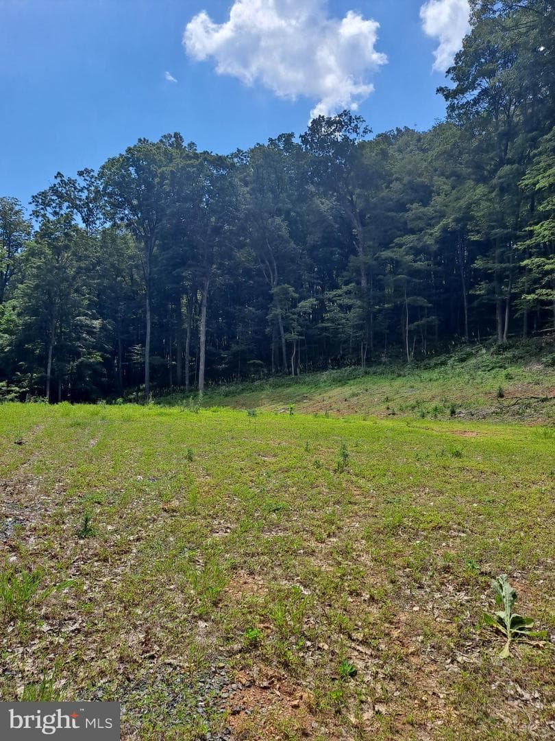 1079 Little Mountain photo 47