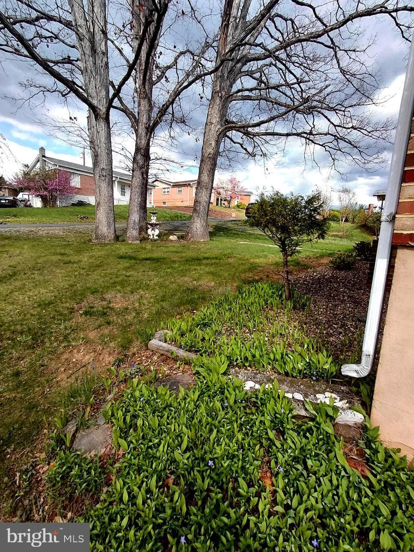 201 Woodlawn Drive photo 32