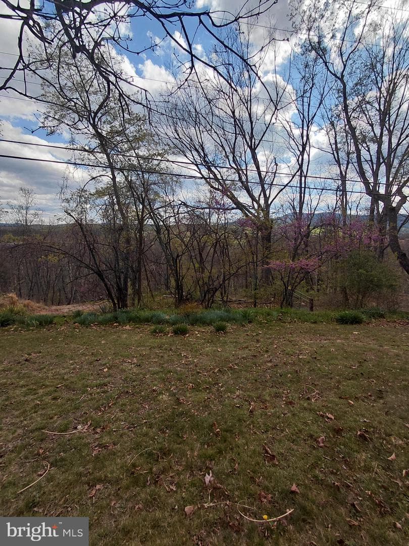 201 Woodlawn Drive photo 34