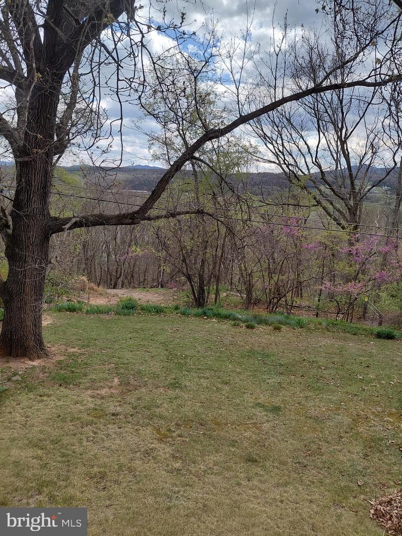201 Woodlawn Drive photo 35