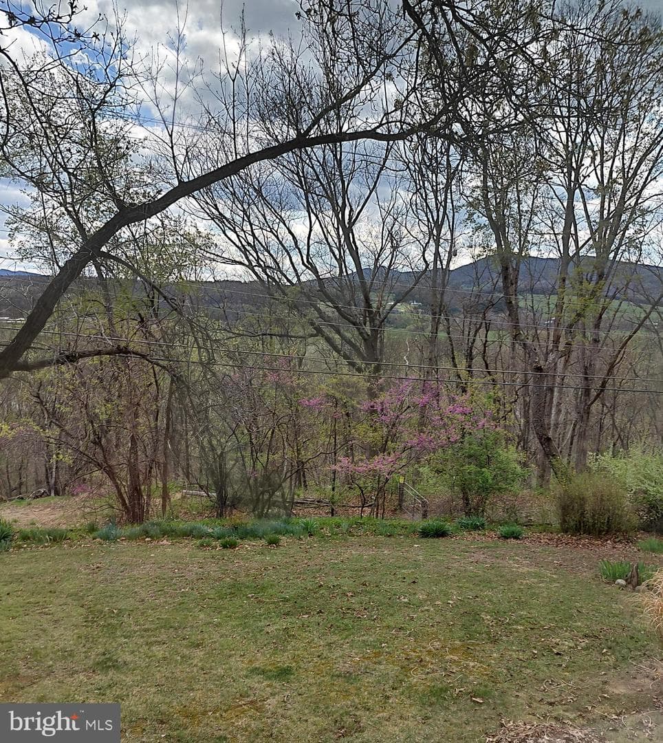 201 Woodlawn Drive photo 37
