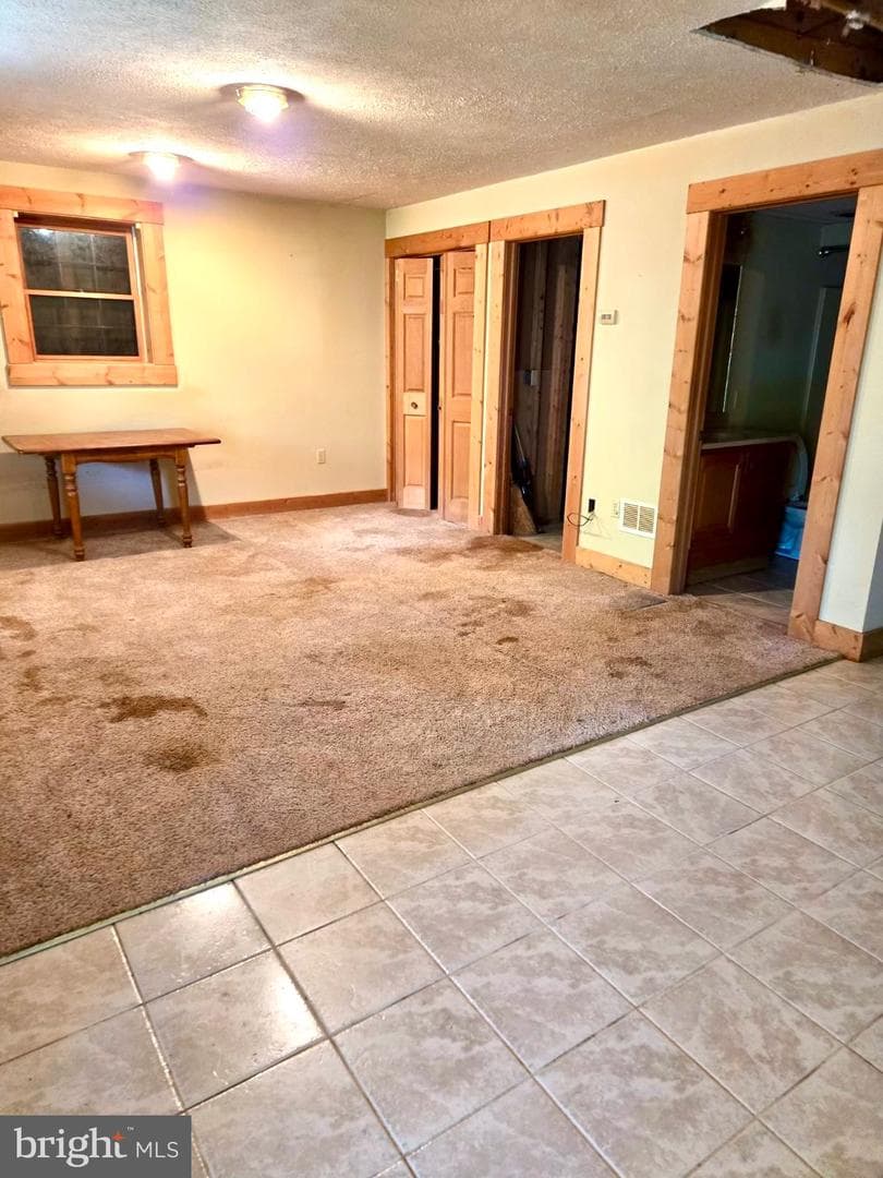 219 Fox Squirrel Lane photo 20