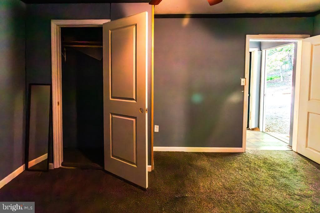 2152 Walnut Bottom Road photo 134