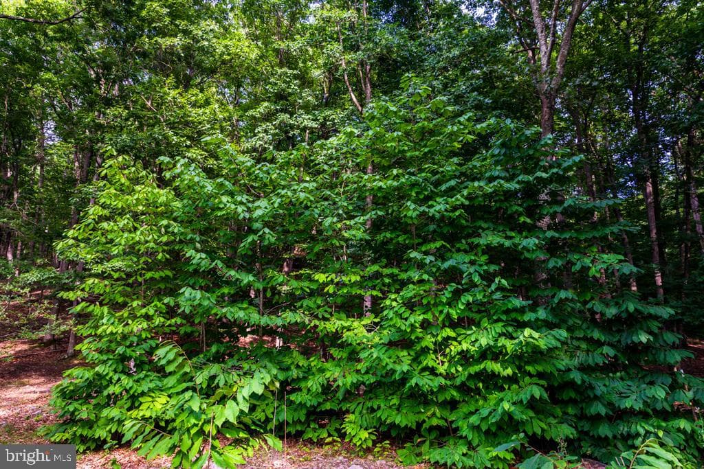 2152 Walnut Bottom Road photo 60