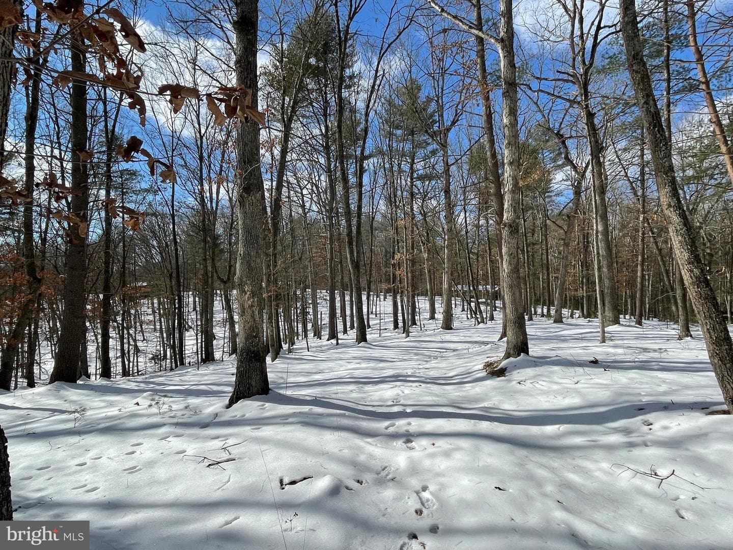 633 Snyders Ridge Road photo 12