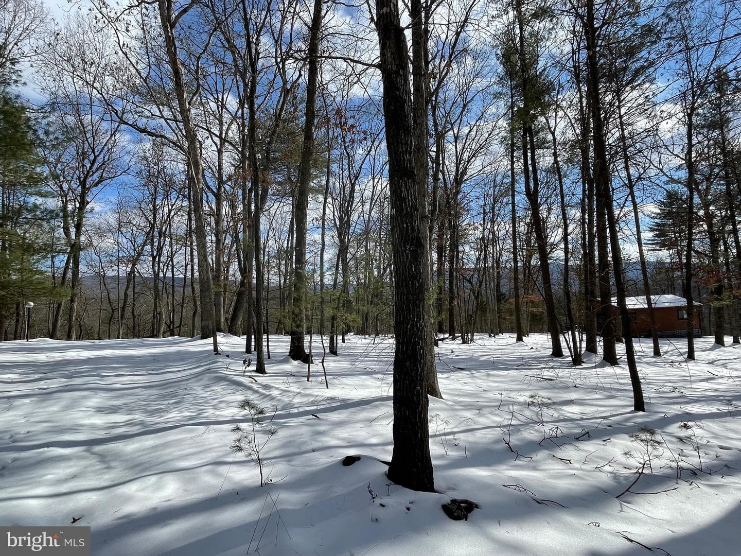 633 Snyders Ridge Road photo 14
