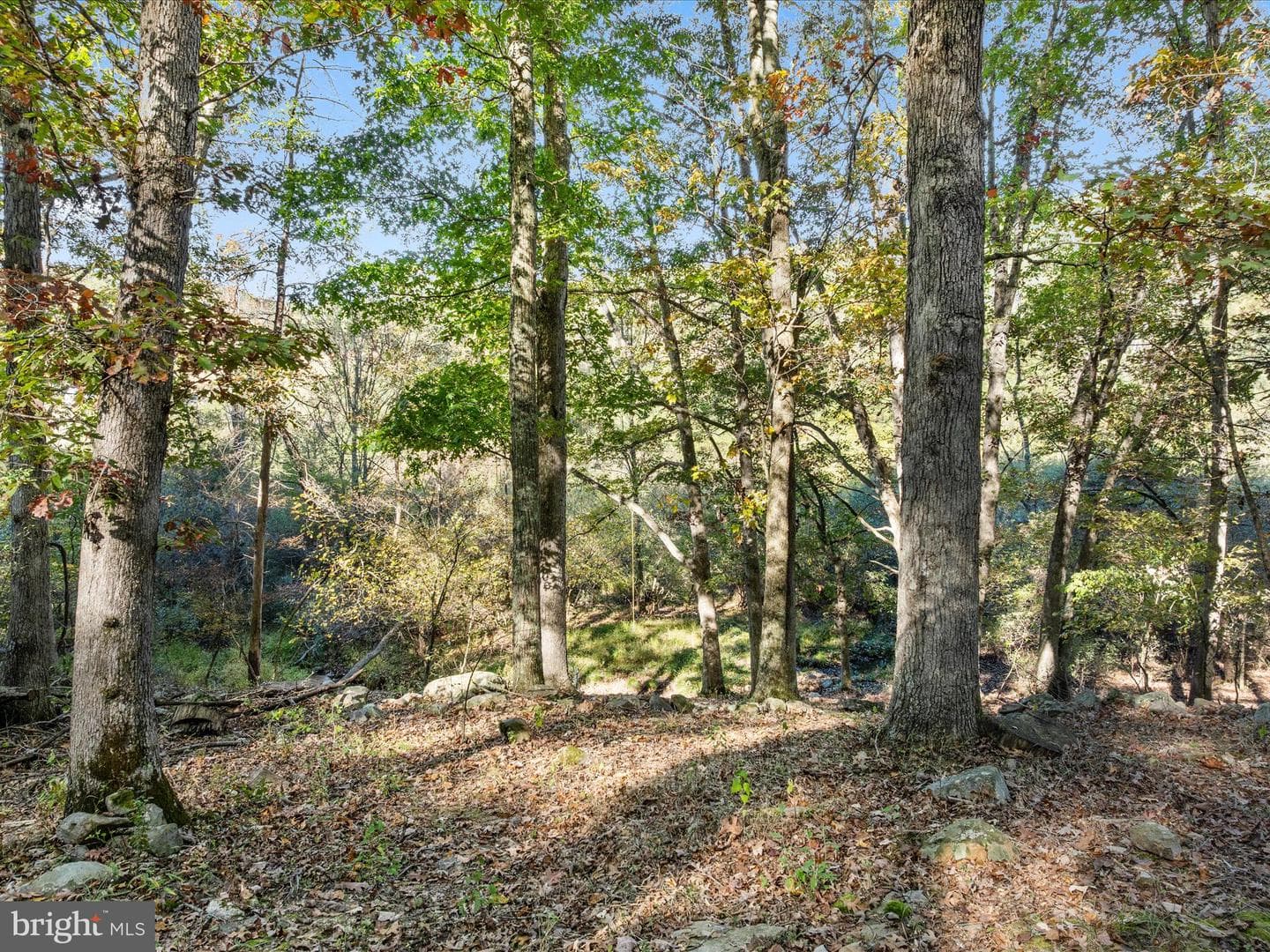 15 Meadow View Dr photo 29