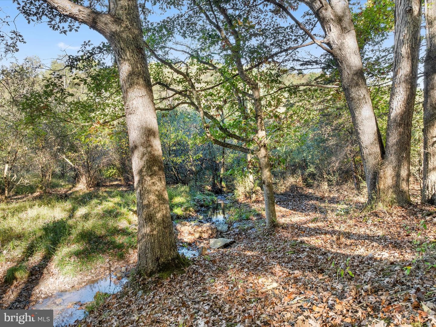15 Meadow View Dr photo 30