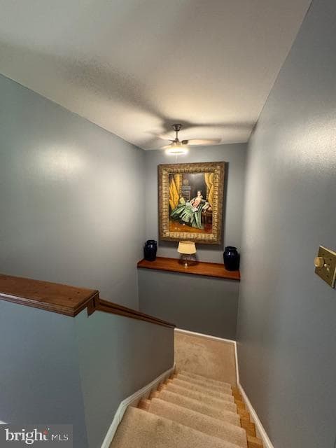 357 Pleasant Valley Drive photo 20