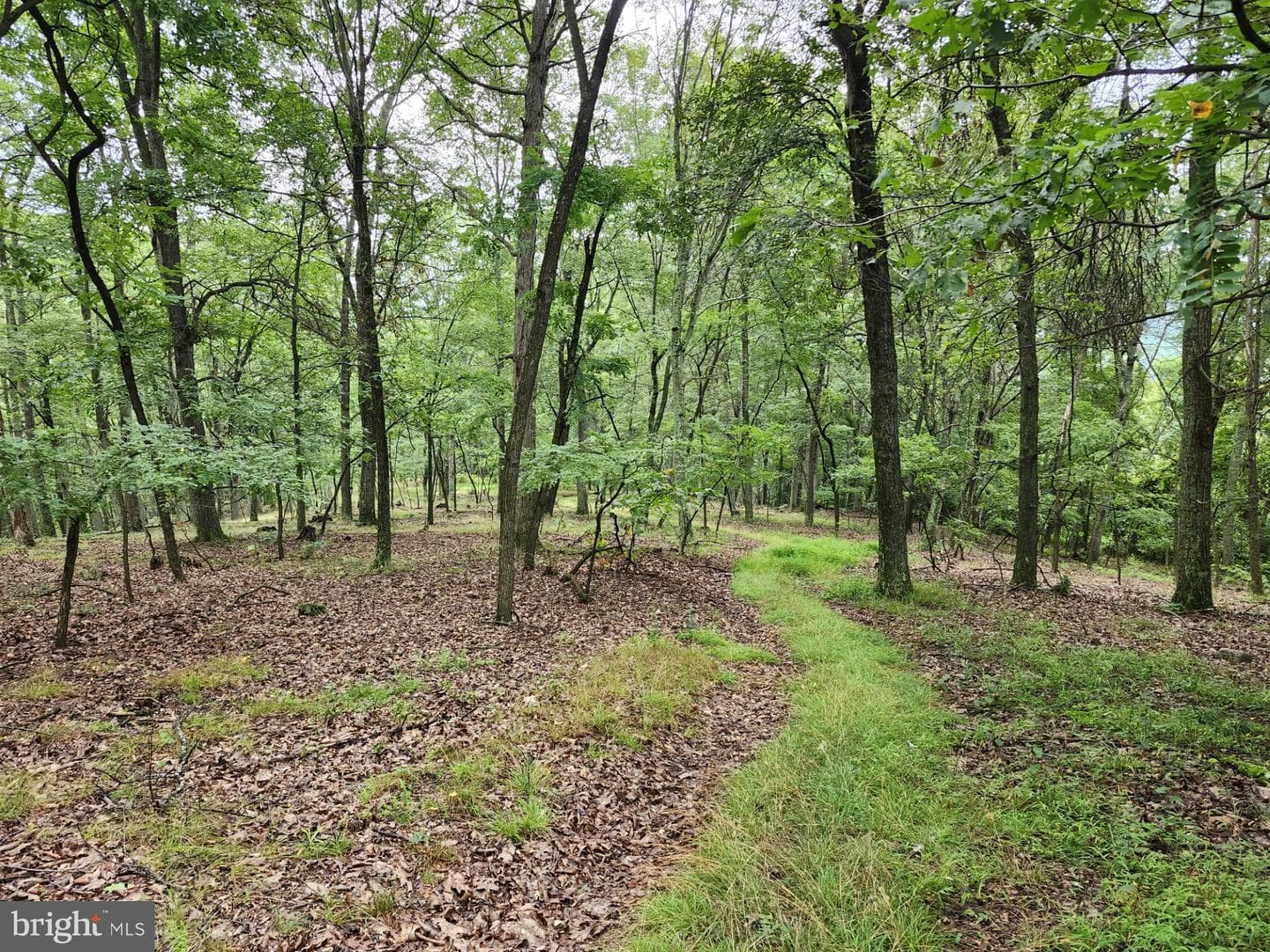 6836 State Road 55 photo 15