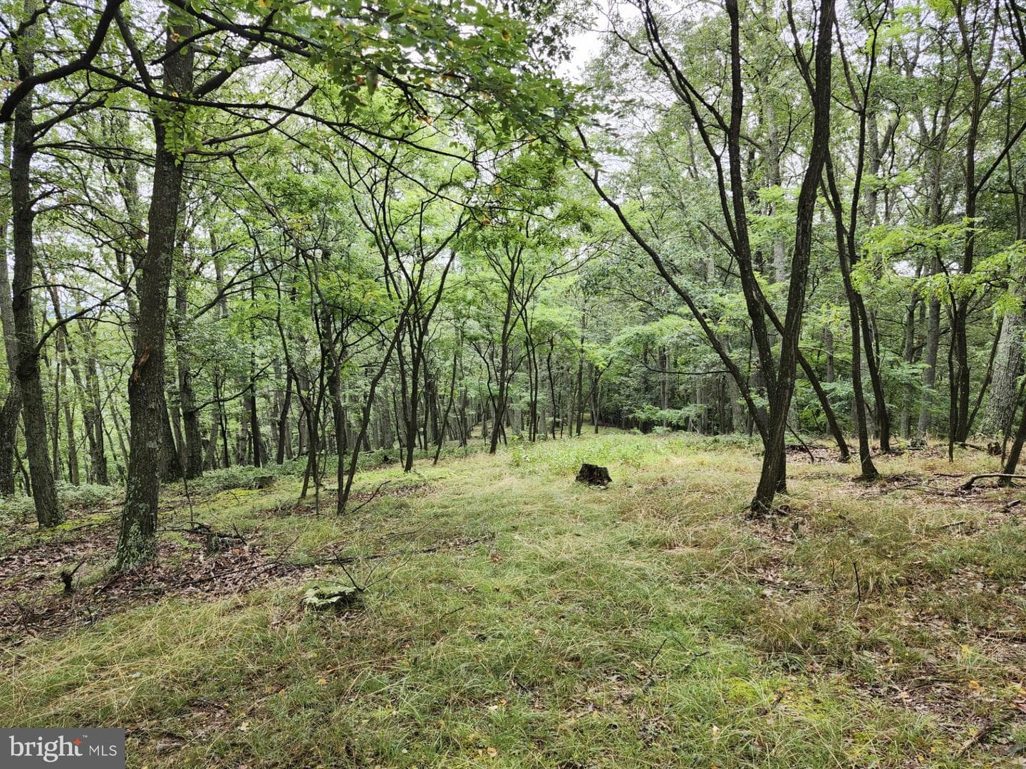 6836 State Road 55 photo 23