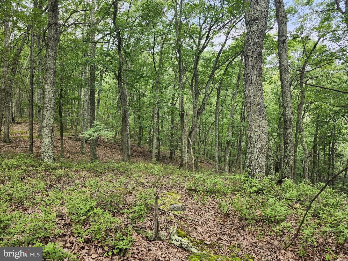 6836 State Road 55 photo 36