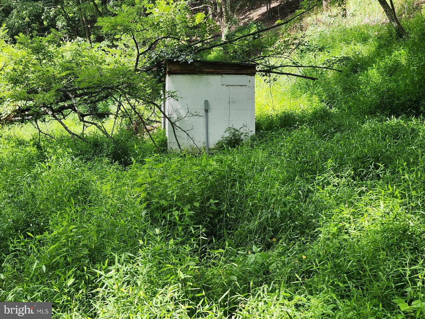 6836 State Road 55 photo 49