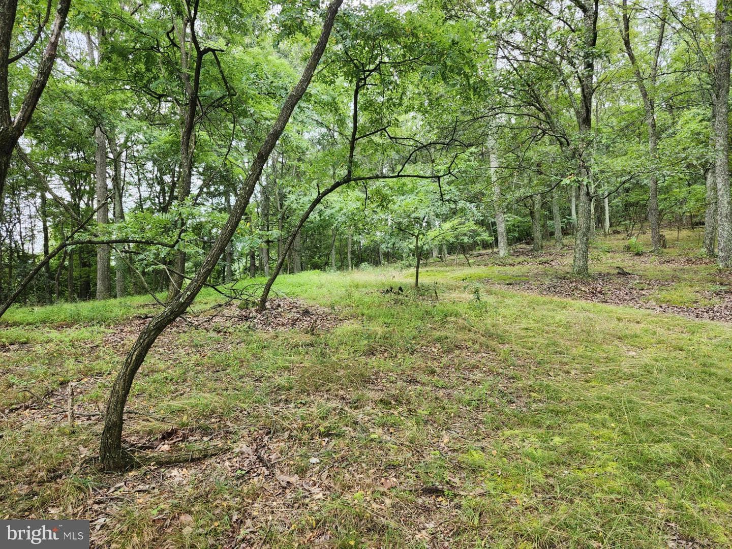 6836 State Road 55 photo 84