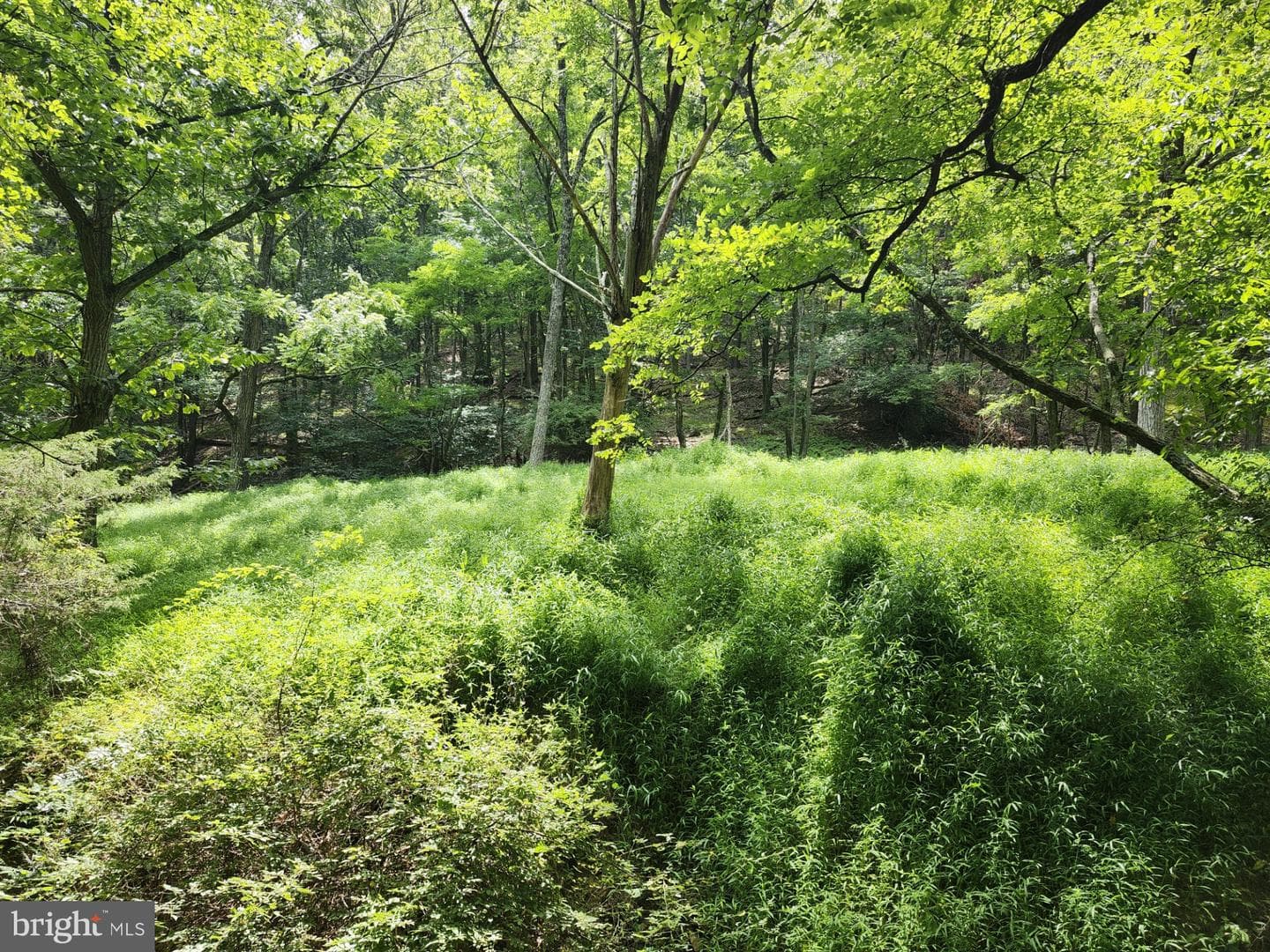 6836 State Road 55 photo 87