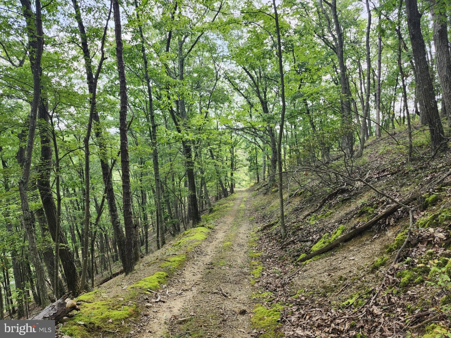6836 State Road 55 photo 90