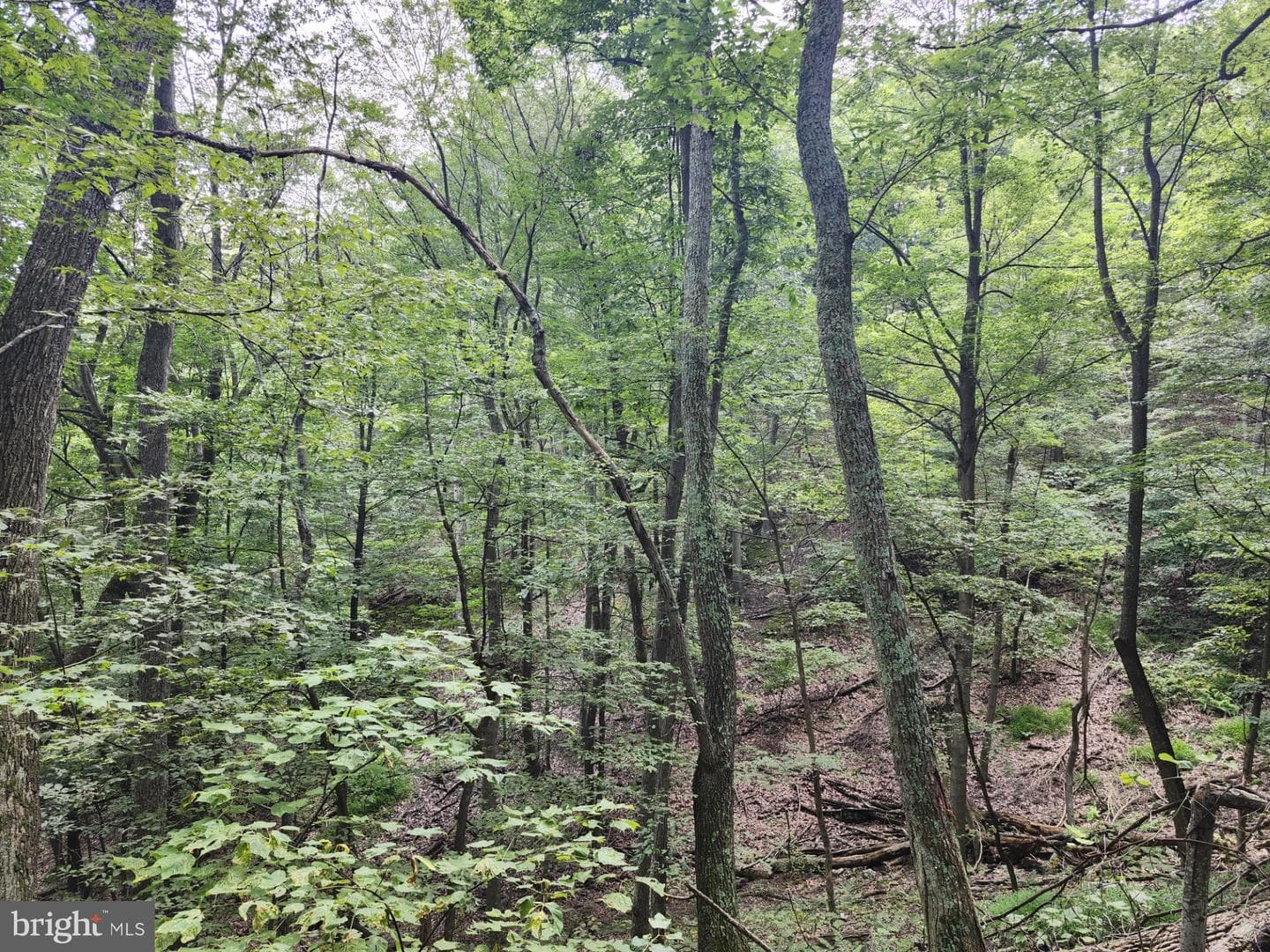 6836 State Road 55 photo 97