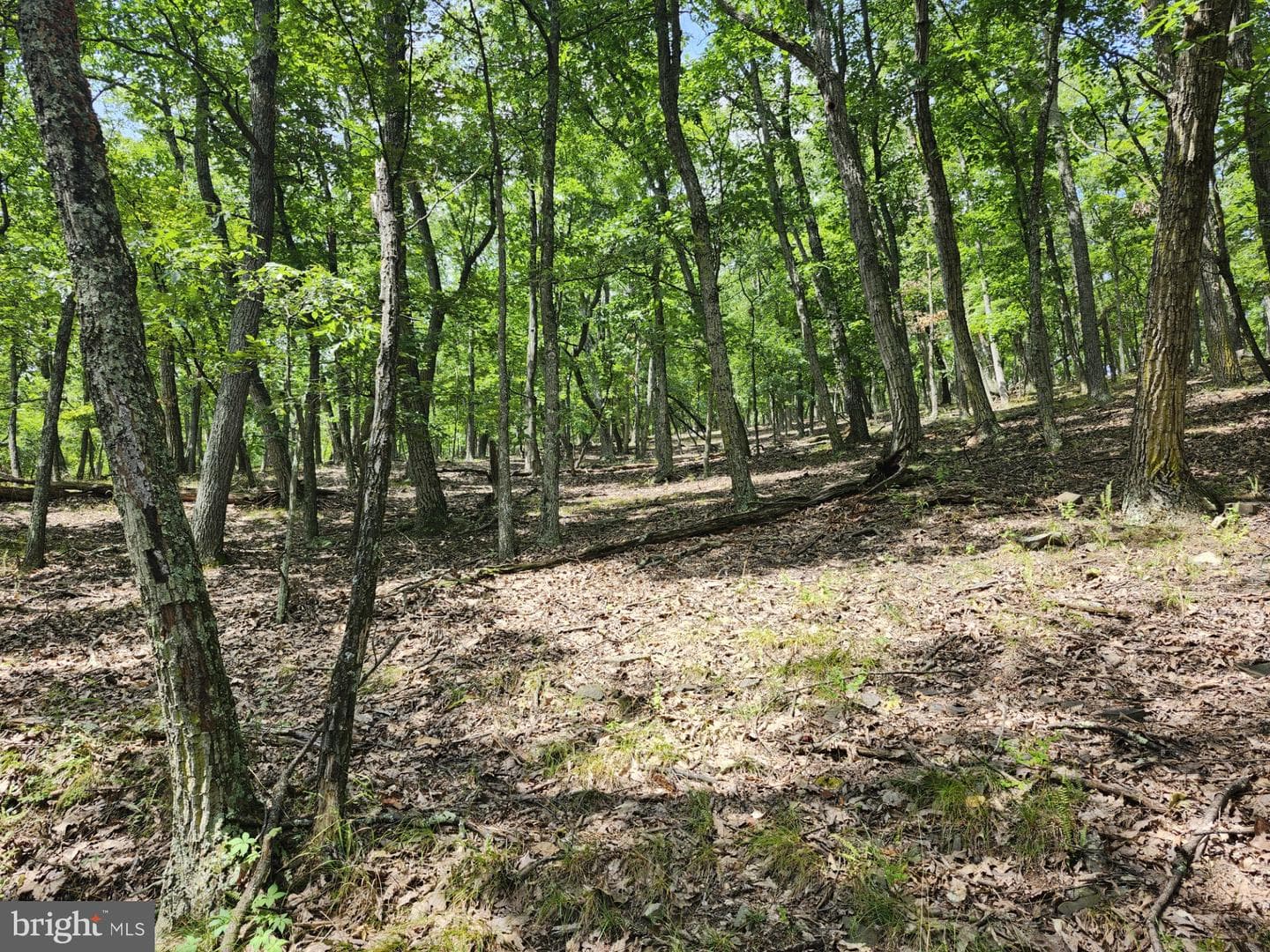 6836 State Road 55 photo 98