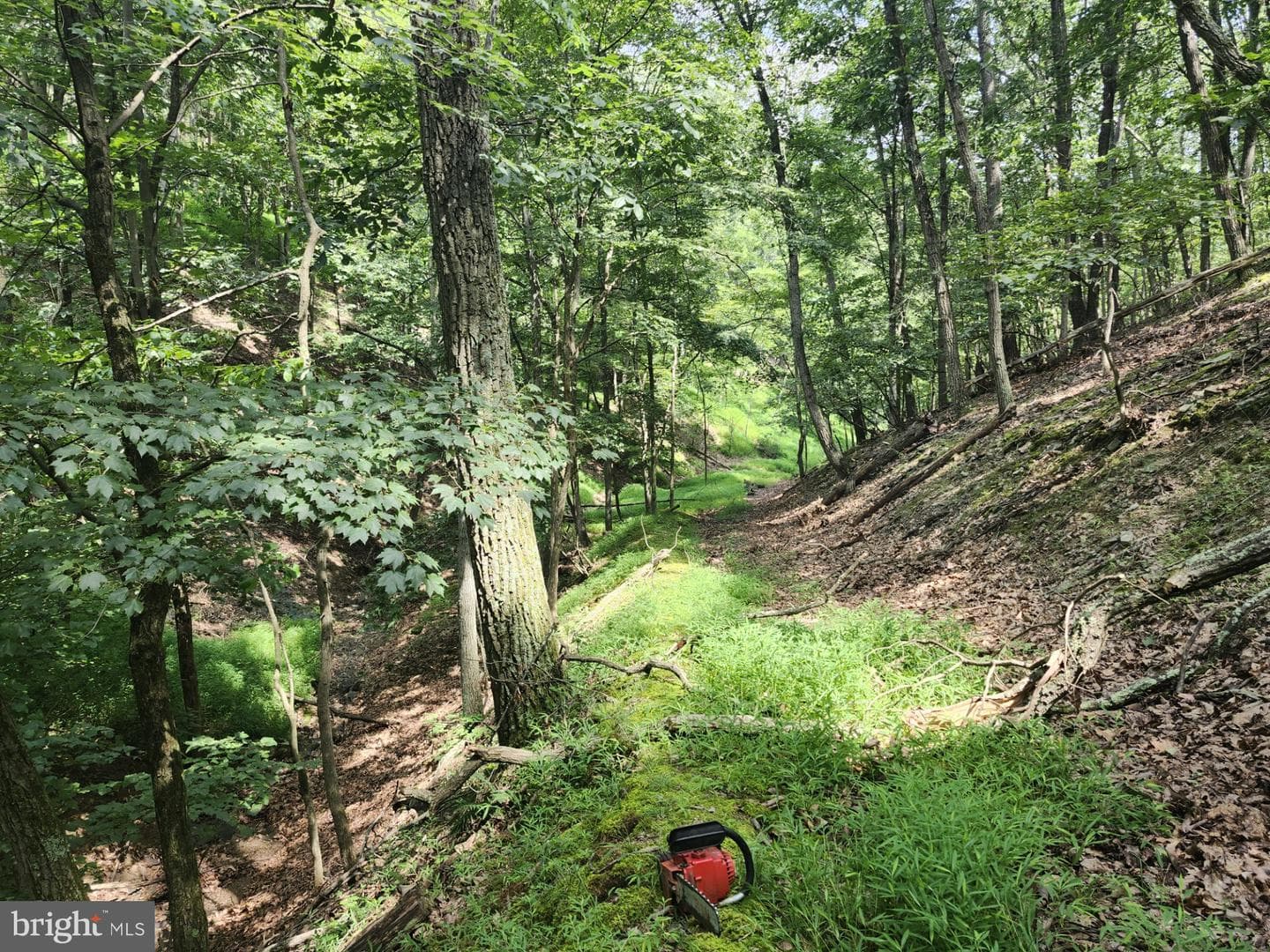 6836 State Road 55 photo 99