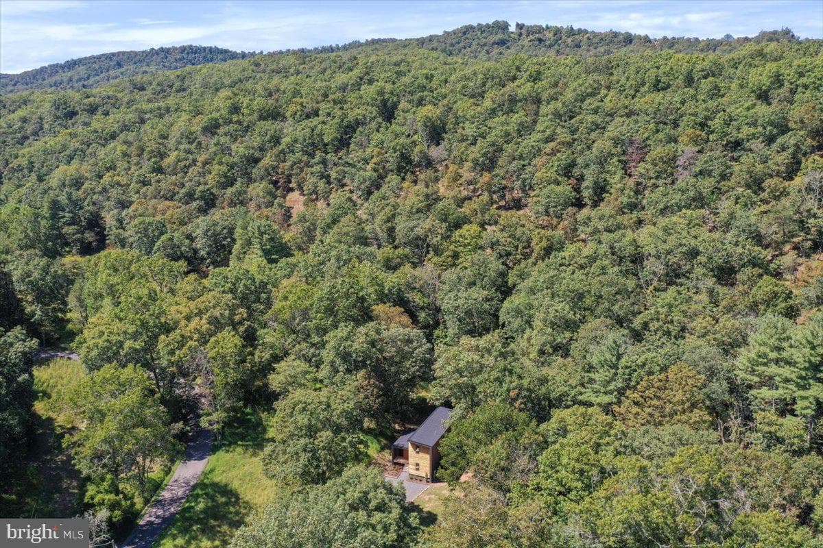 1956 Dove Hollow Road photo 81