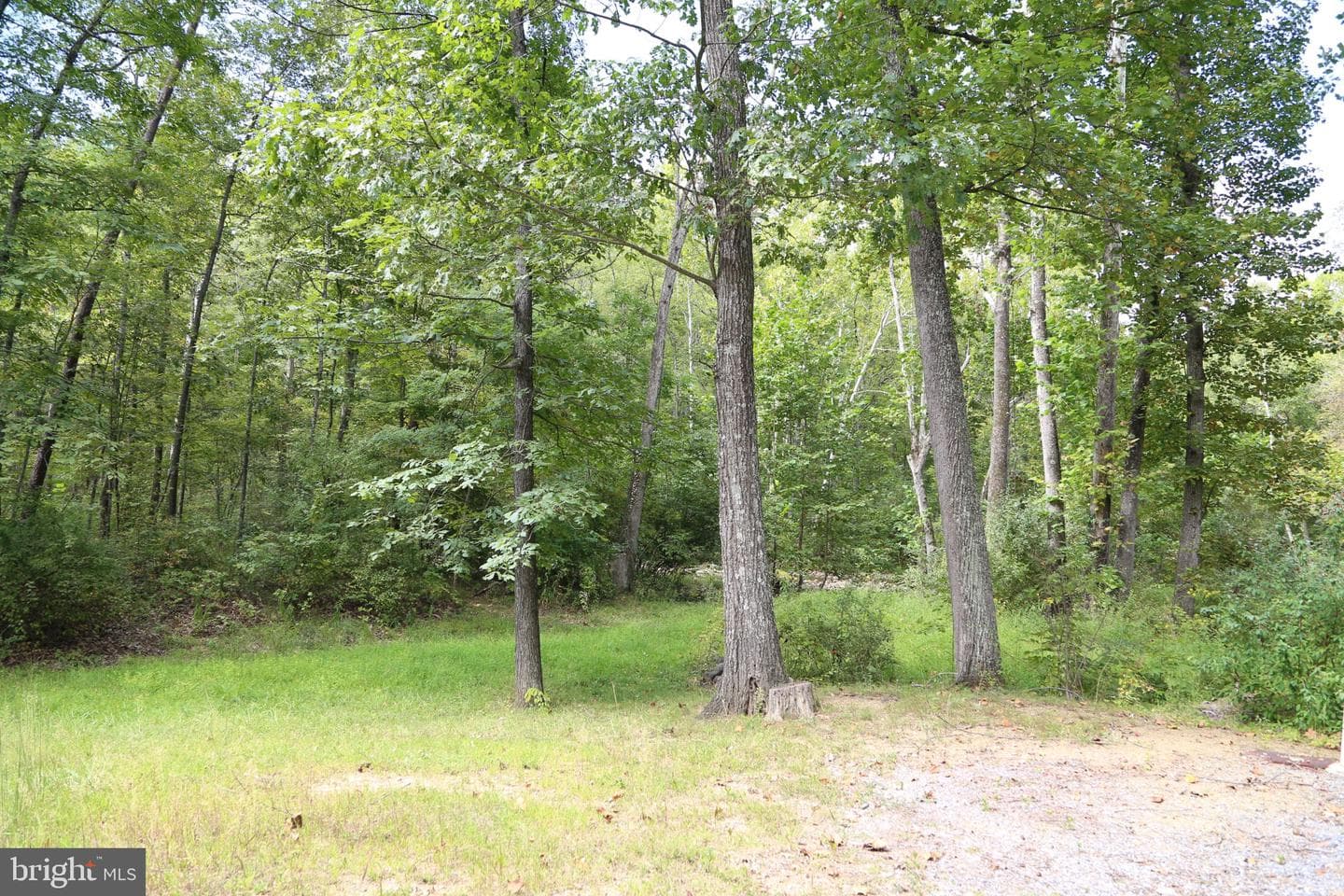 2868 Trout Run Road photo 38