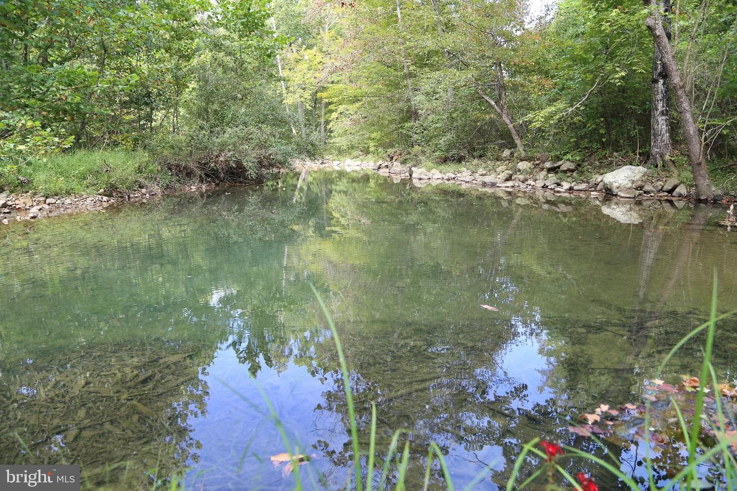 2868 Trout Run Road photo 39