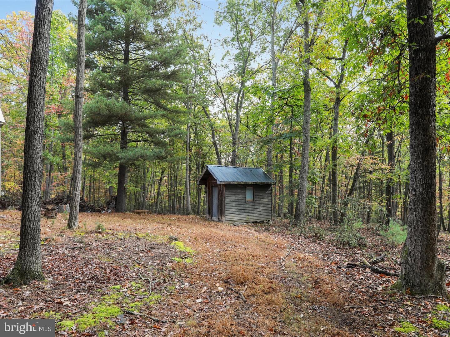 446 Black Ridge Road photo 32