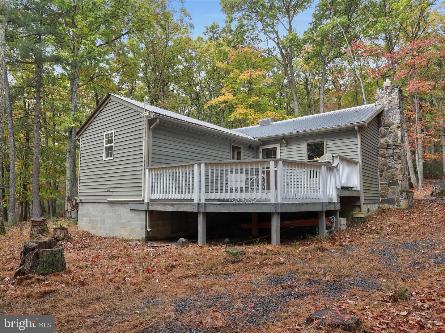 446 Black Ridge Road photo 36