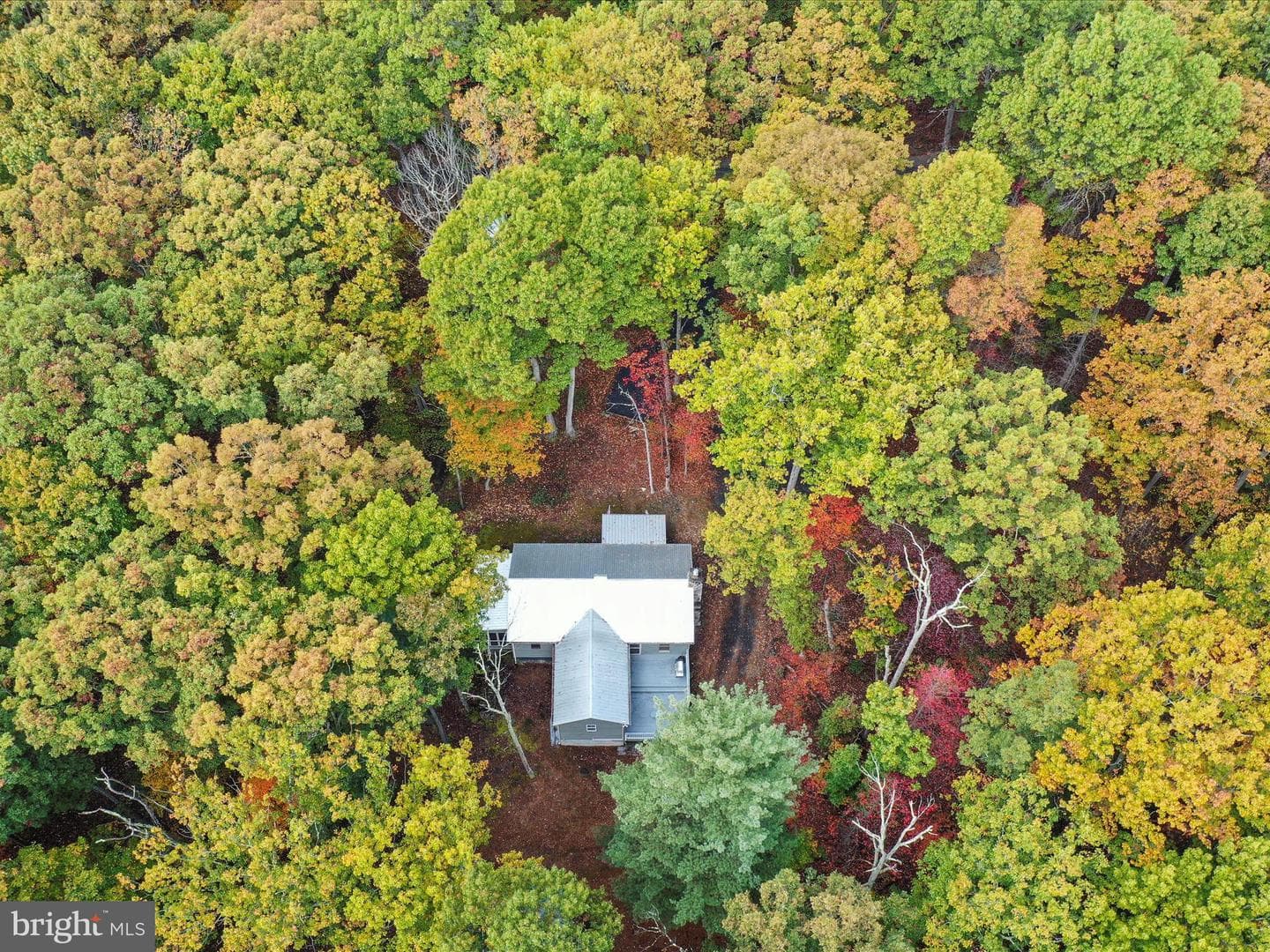446 Black Ridge Road photo 39