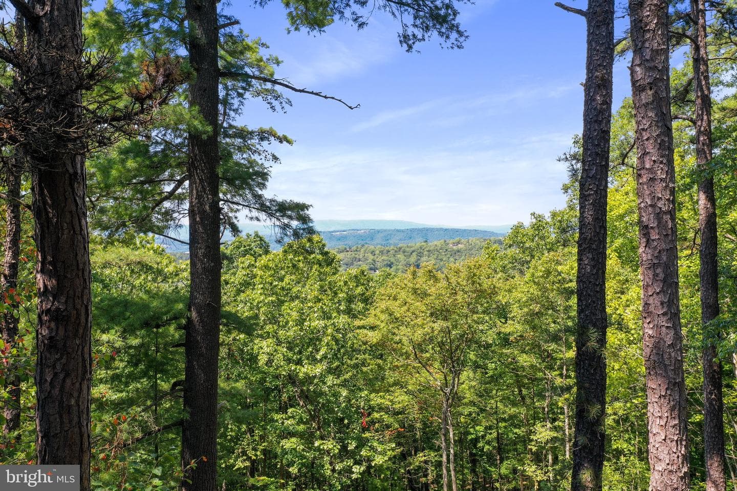 813 Moonshine Hollow Road photo 41