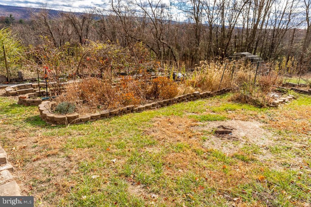 408 Hawks Nest Drive photo 49