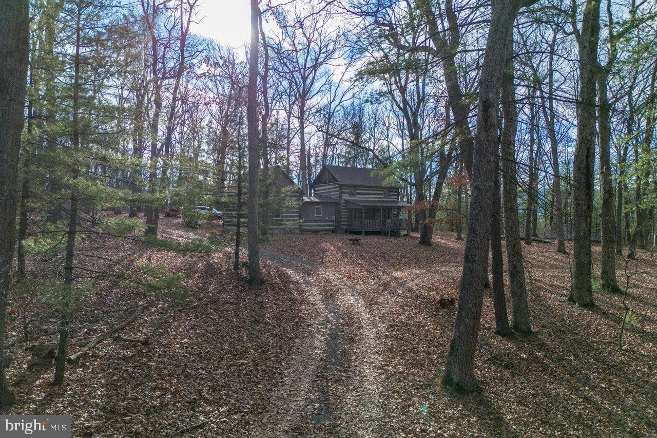 800 Cove Mountain Road photo 5
