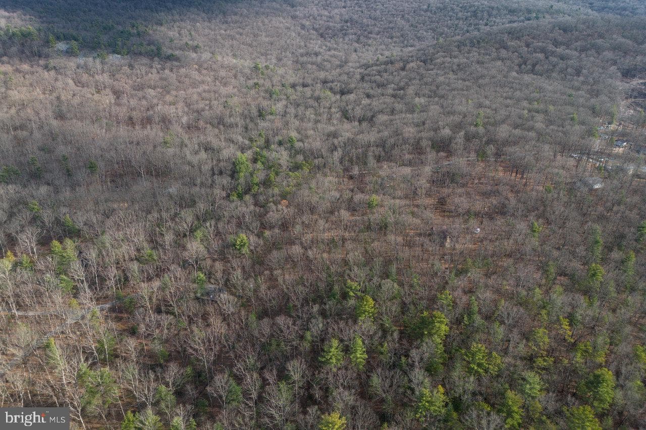 800 Cove Mountain Road photo 89