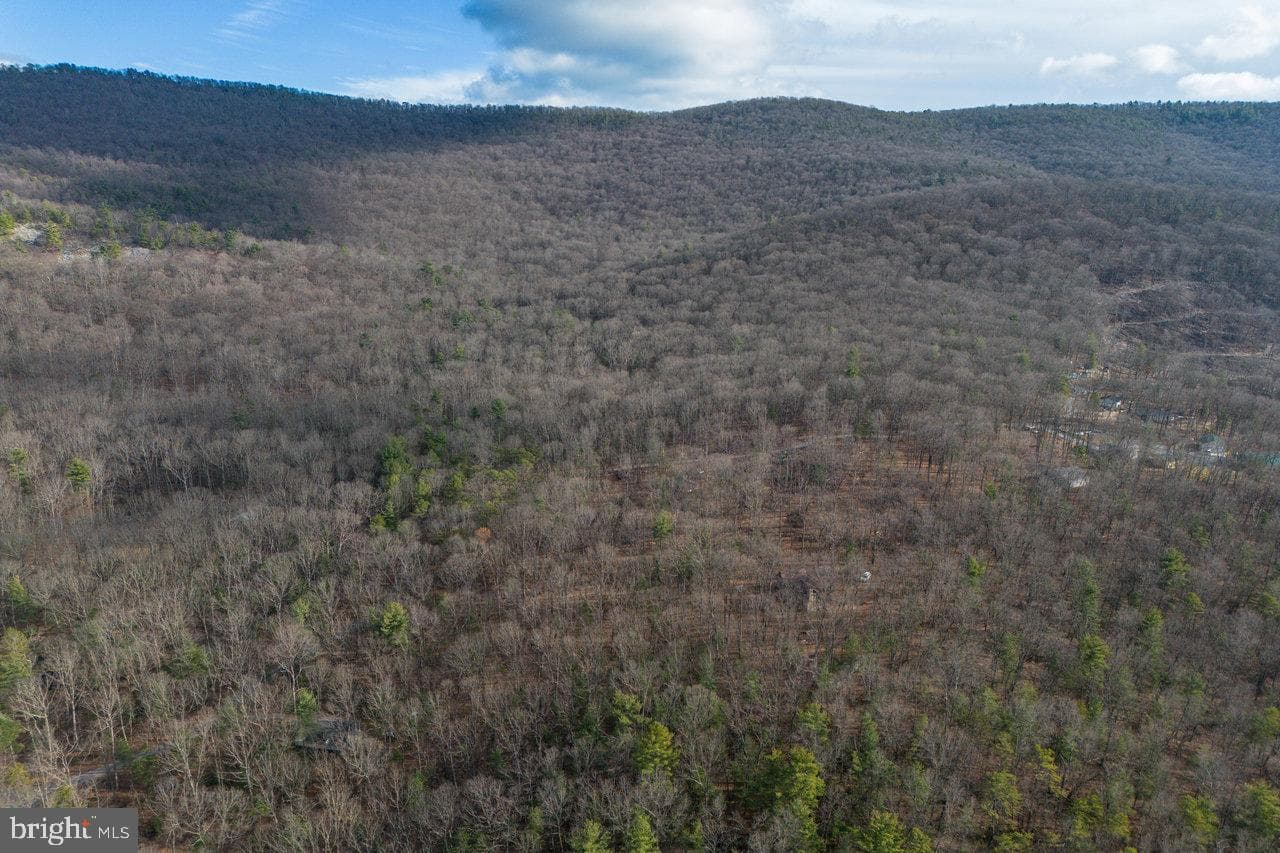 800 Cove Mountain Road photo 90