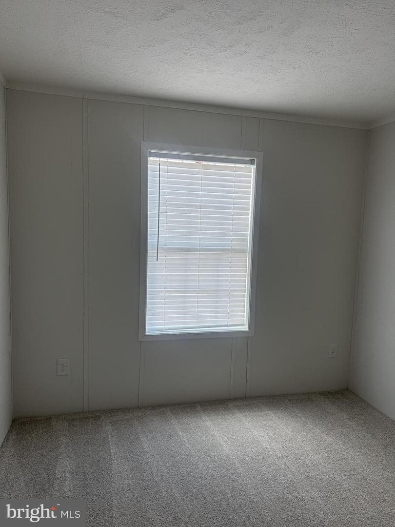 224 Chipley Lane photo 35