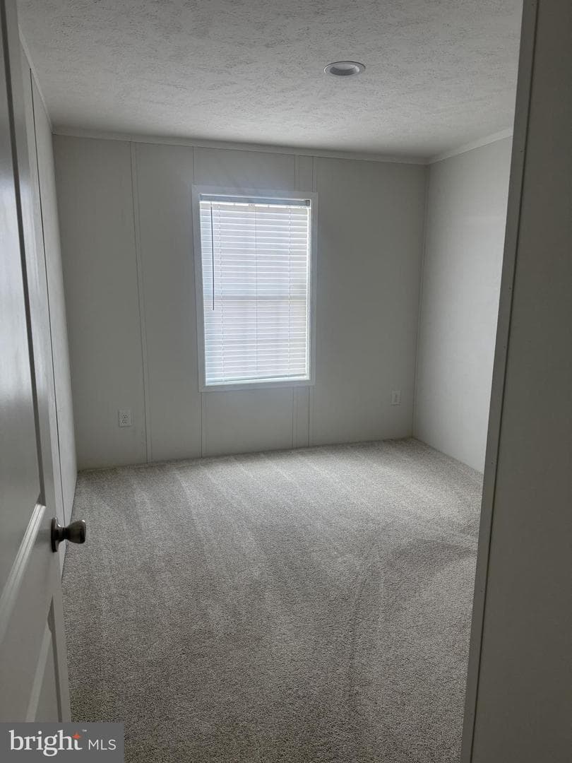 224 Chipley Lane photo 36