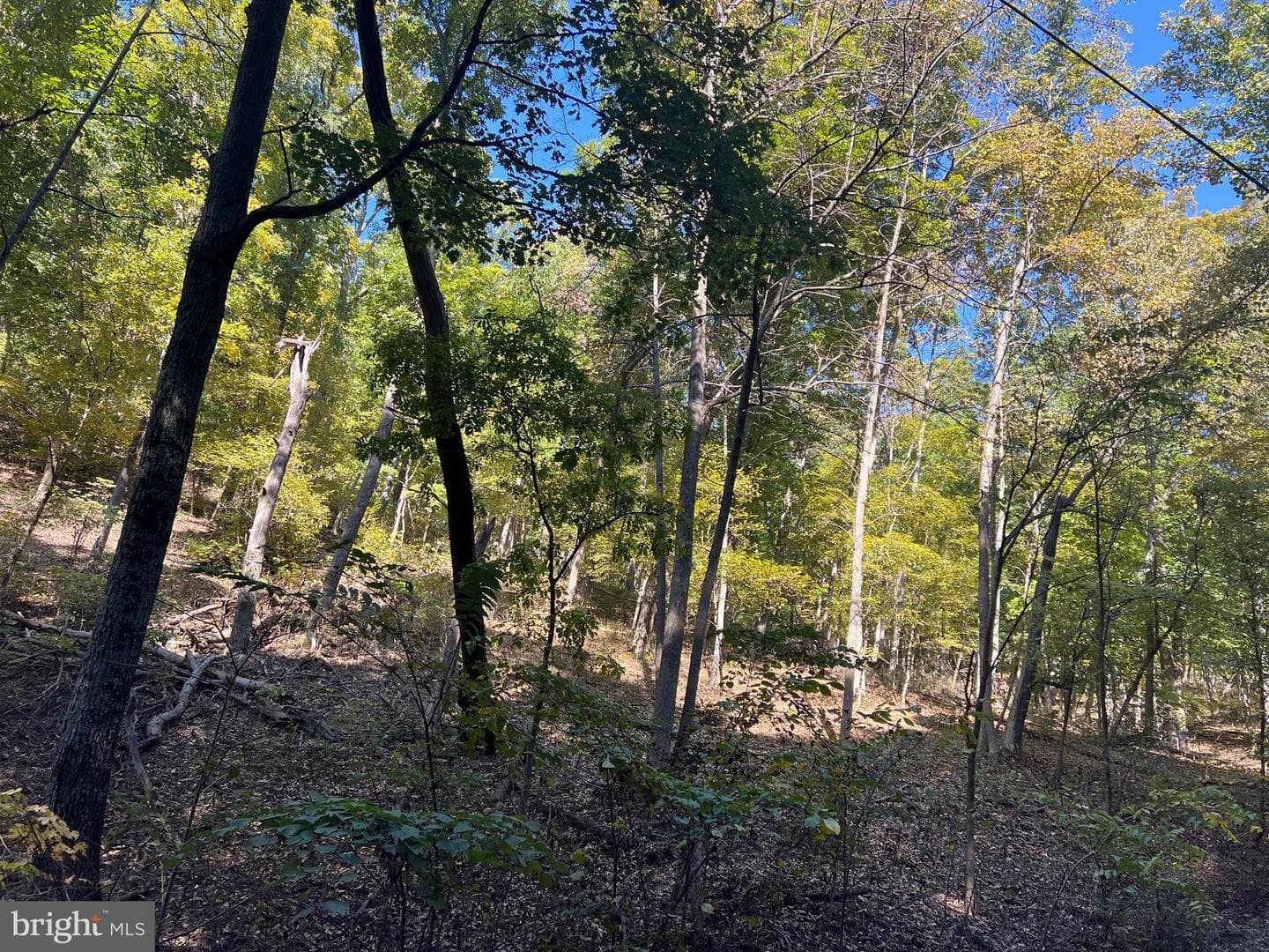 1604 High Knob Road photo 87