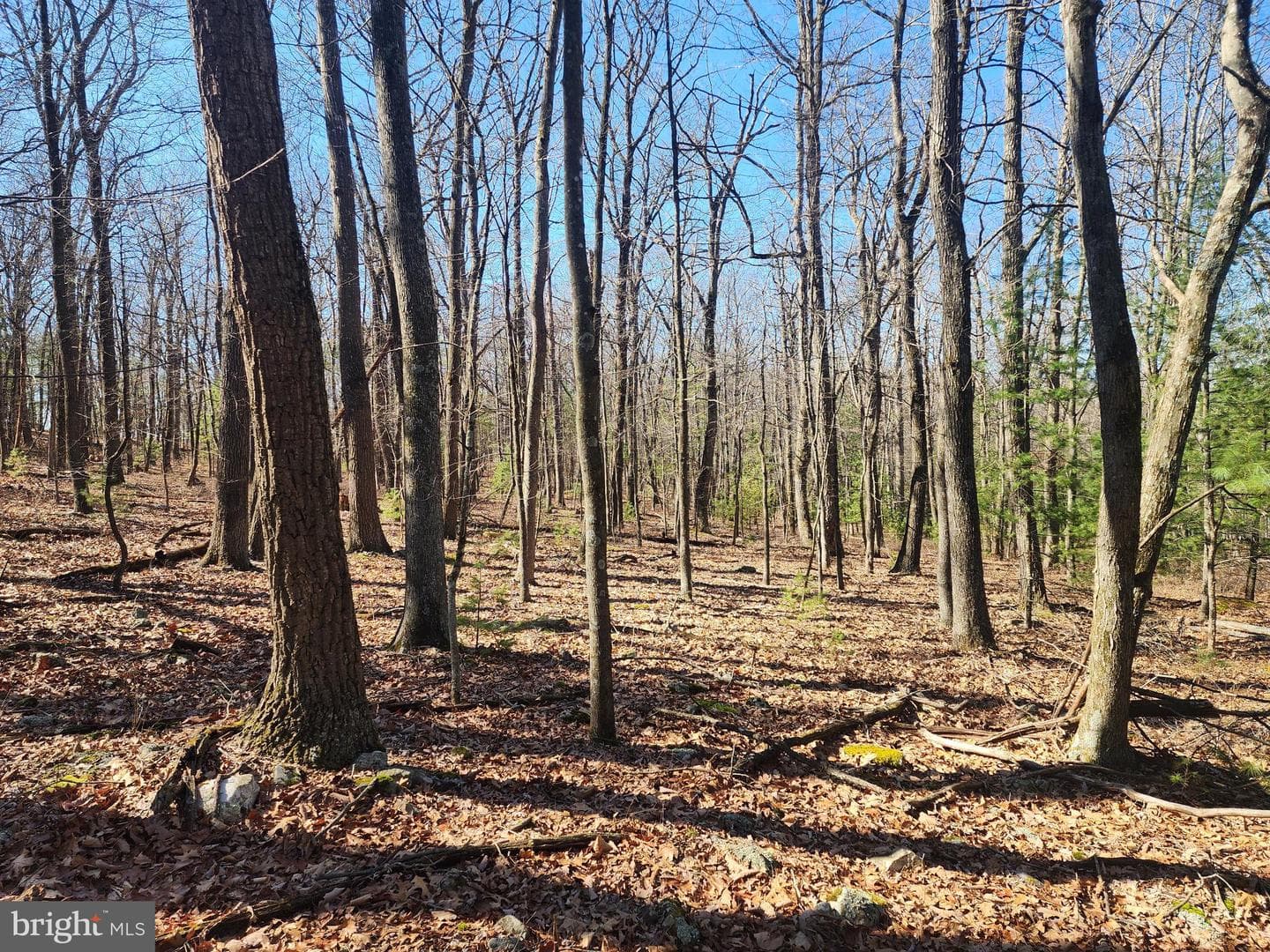1080 Cove Mountain Road photo 14