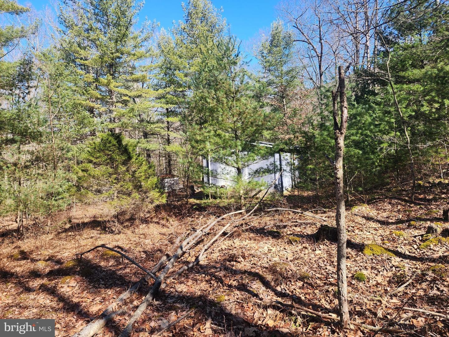 1080 Cove Mountain Road photo 17