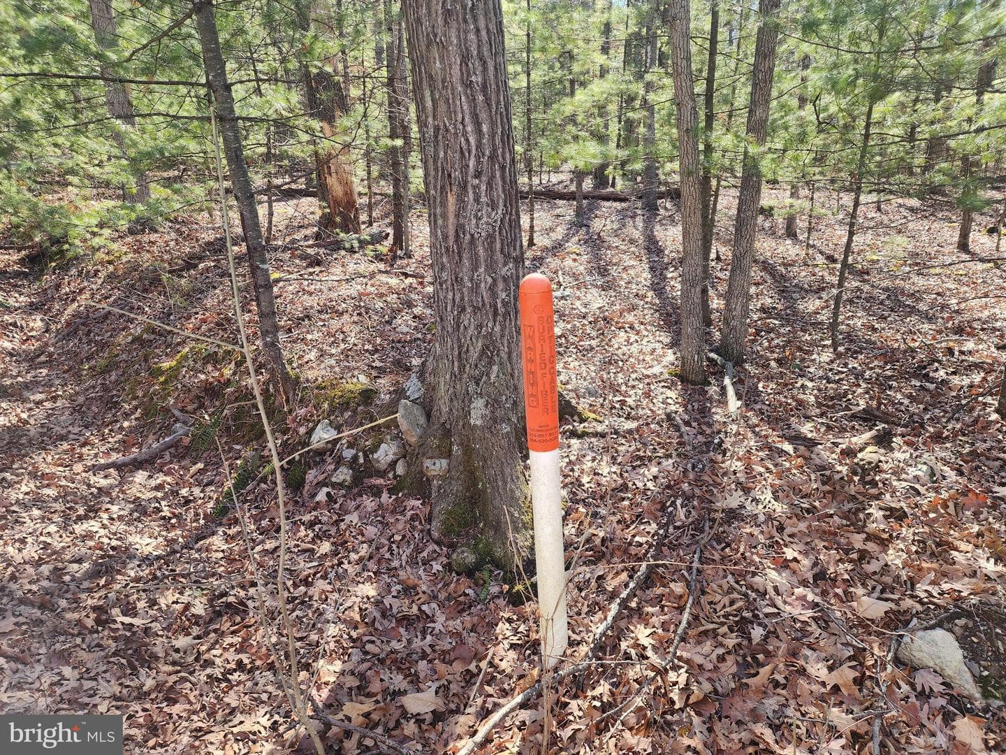 1080 Cove Mountain Road photo 32