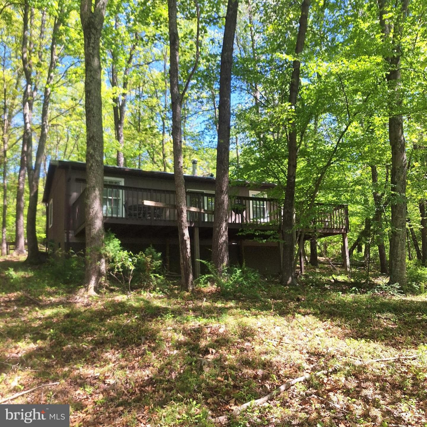 217 Meadow View Drive photo 3