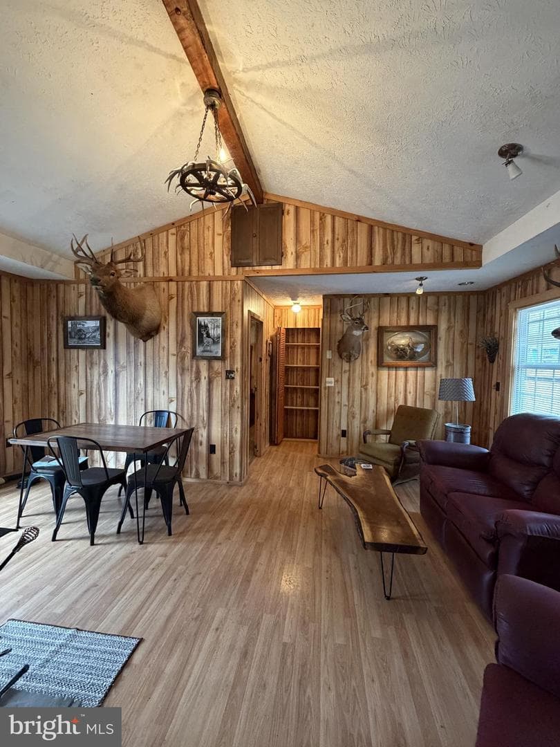 217 Meadow View Drive photo 8