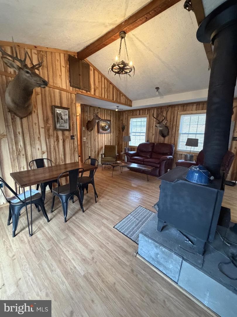 217 Meadow View Drive photo 9