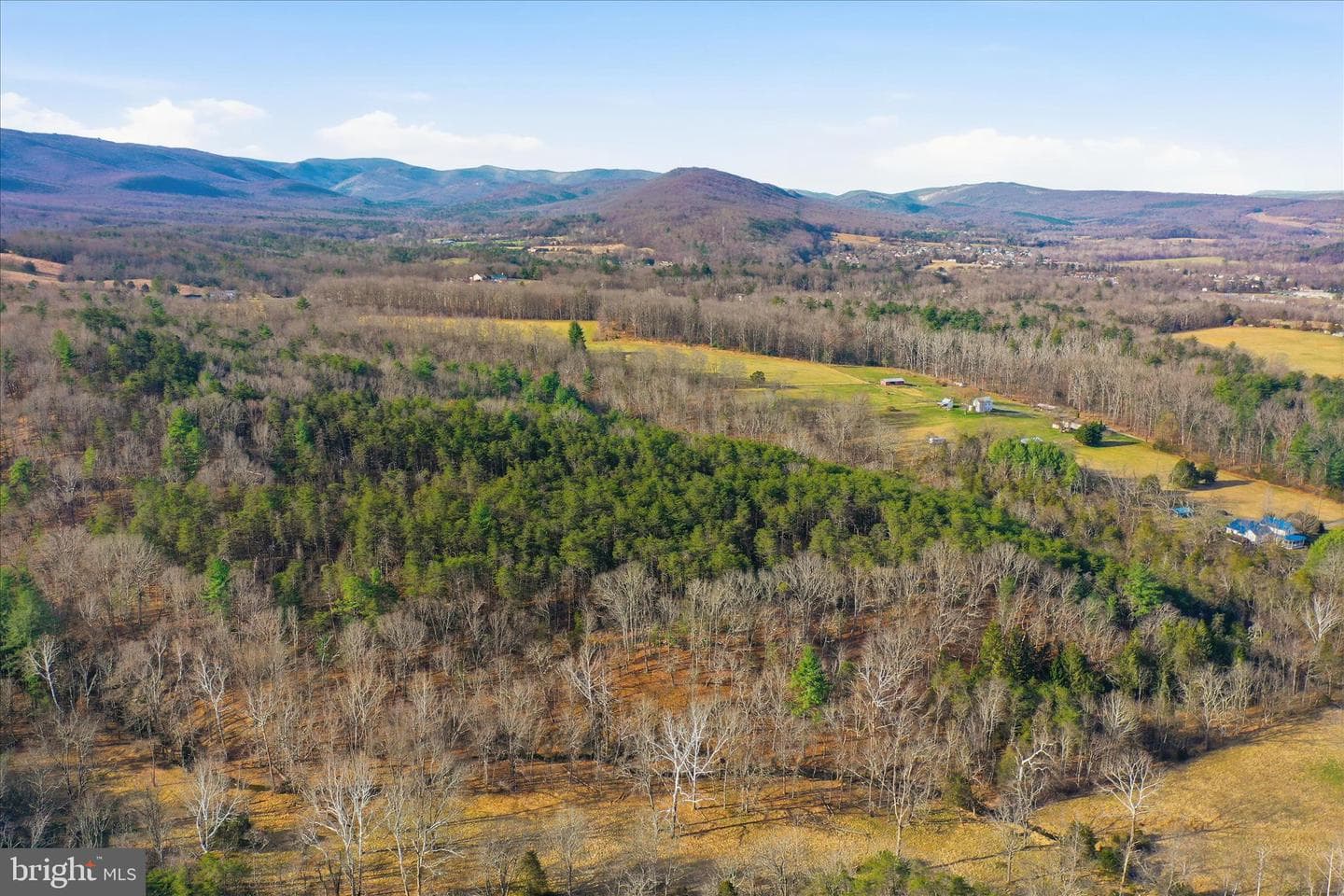 175 Clark Road photo 54