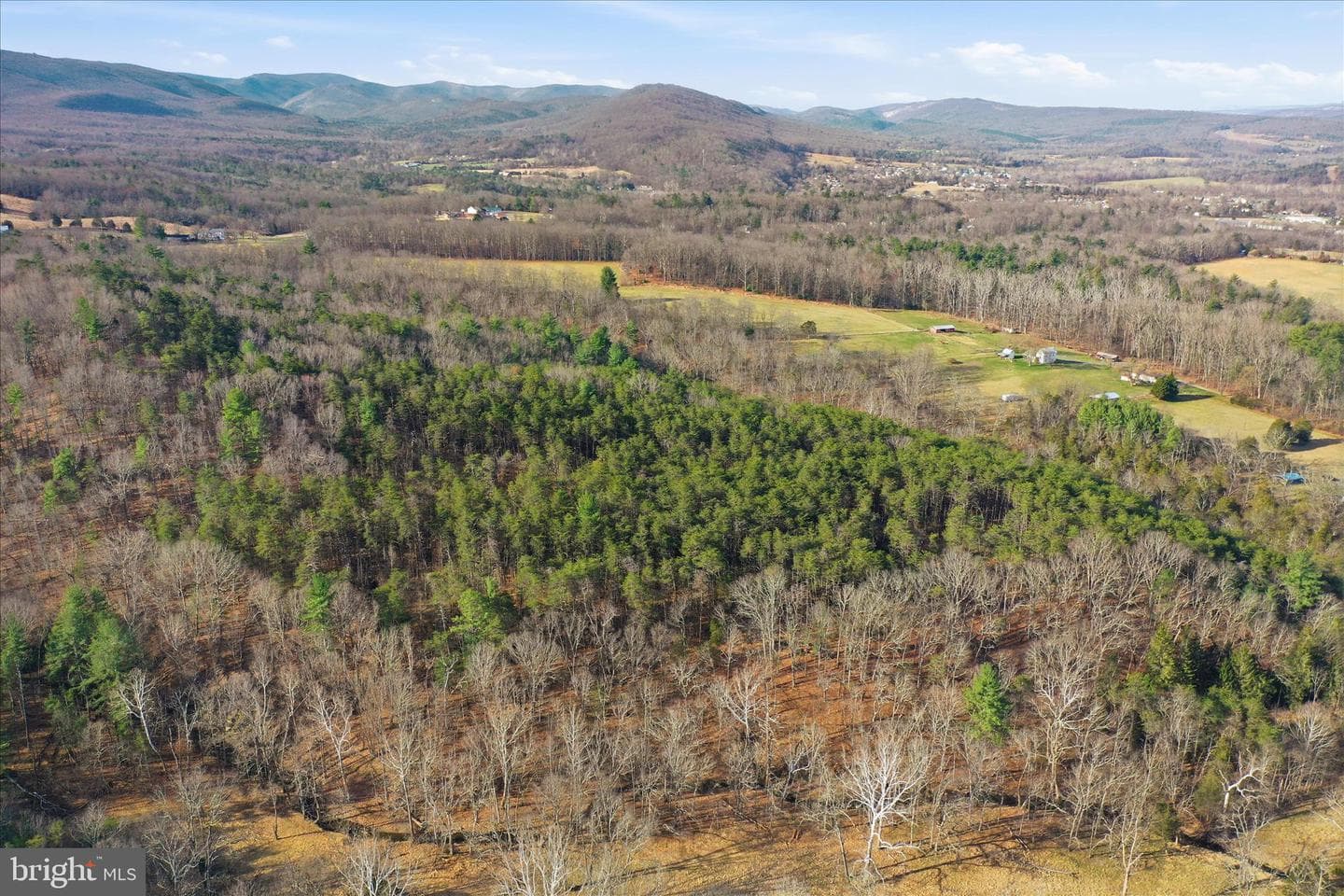 175 Clark Road photo 55