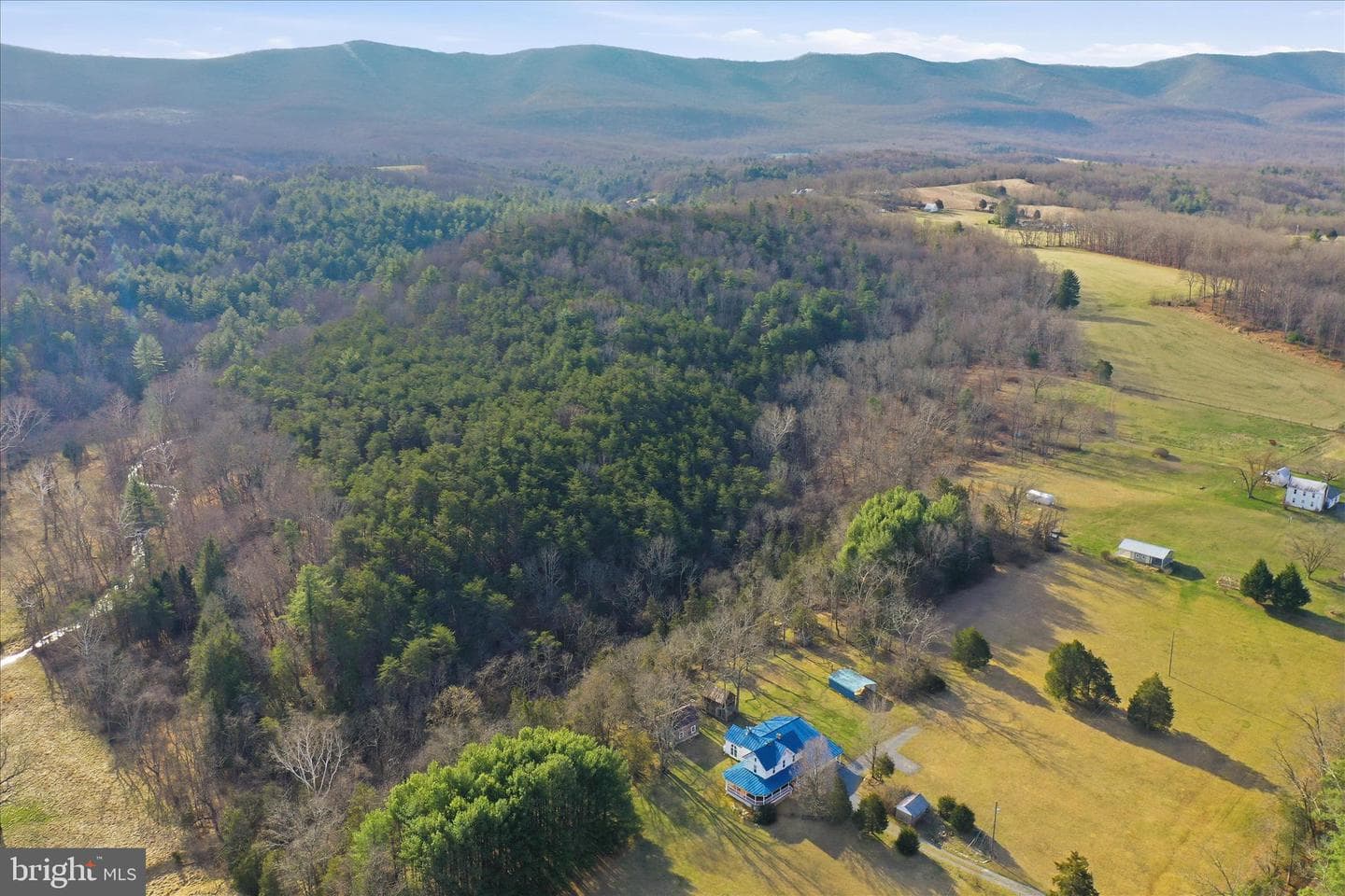 175 Clark Road photo 57
