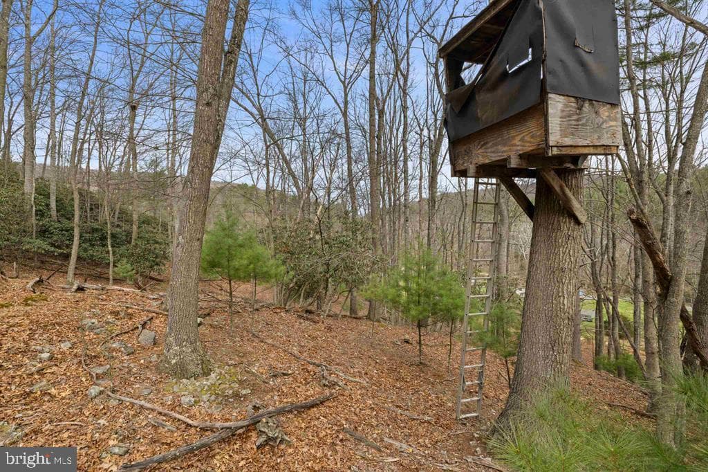 1851 Cullers Run Road photo 62