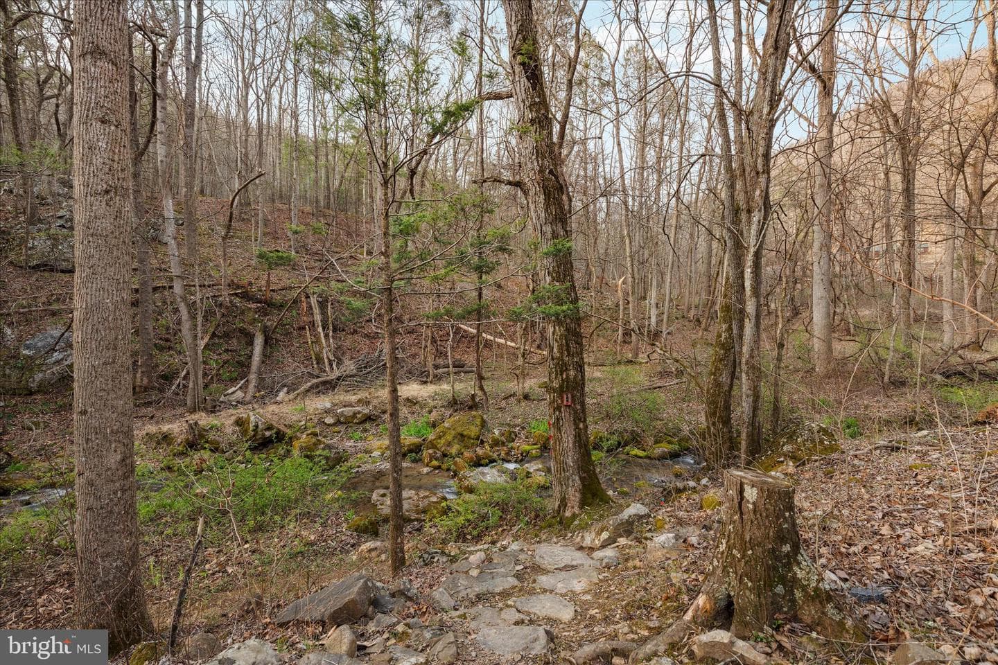 949 Dumpling Run Road photo 28