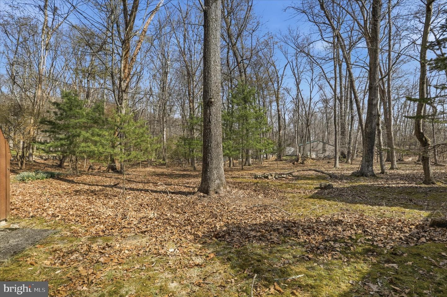 61 Grouse Circle photo 31
