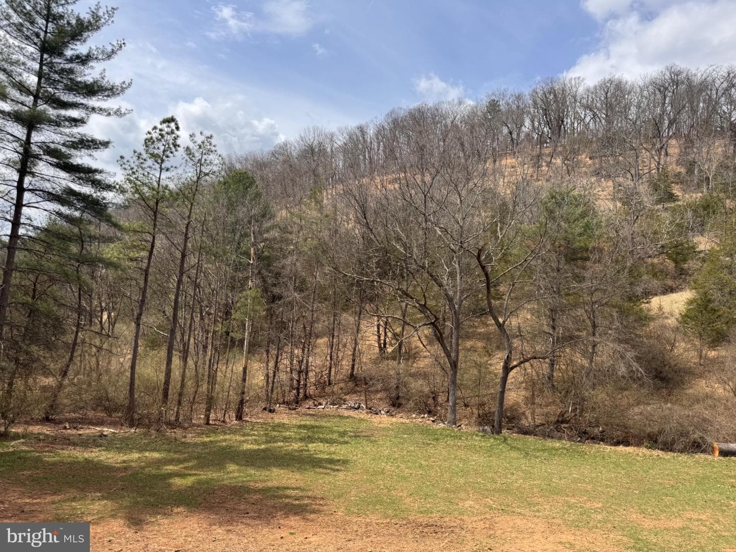 656 Wildlife Drive photo 64